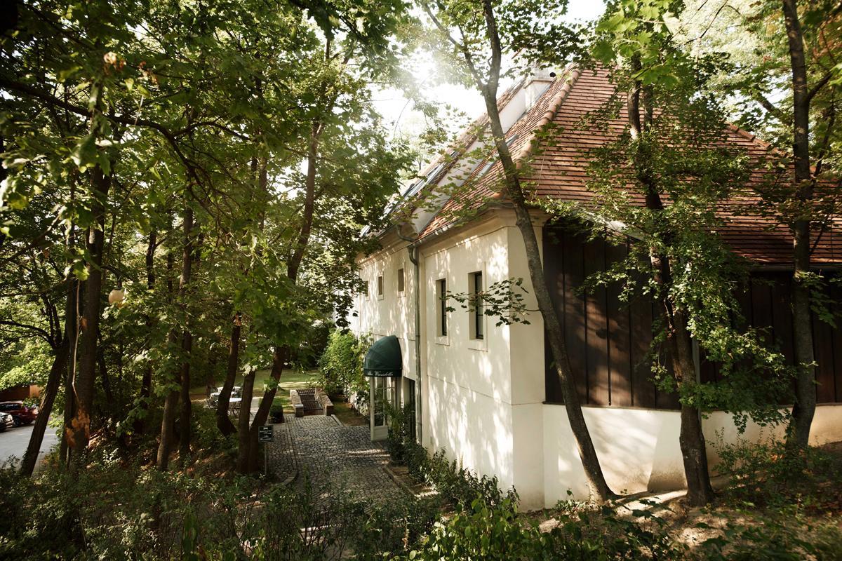 Alter Winzerkeller Bed & Breakfast Kirchberg am Wagram Eksteriør bilde