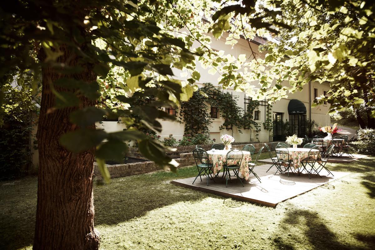 Alter Winzerkeller Bed & Breakfast Kirchberg am Wagram Eksteriør bilde